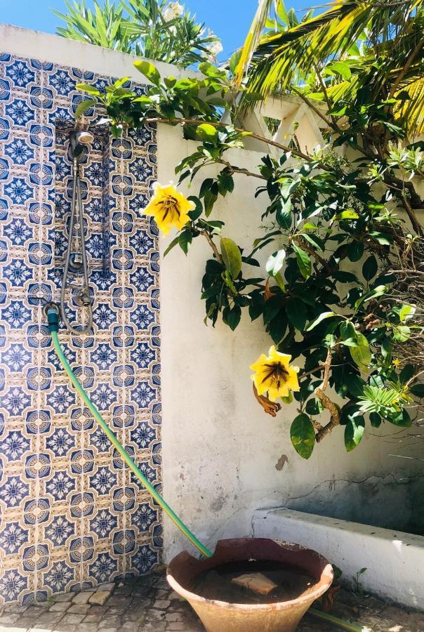 Charming Villa With Heated Pool Near Sandy Beach, Hiking, Golf And Wineries Luz エクステリア 写真