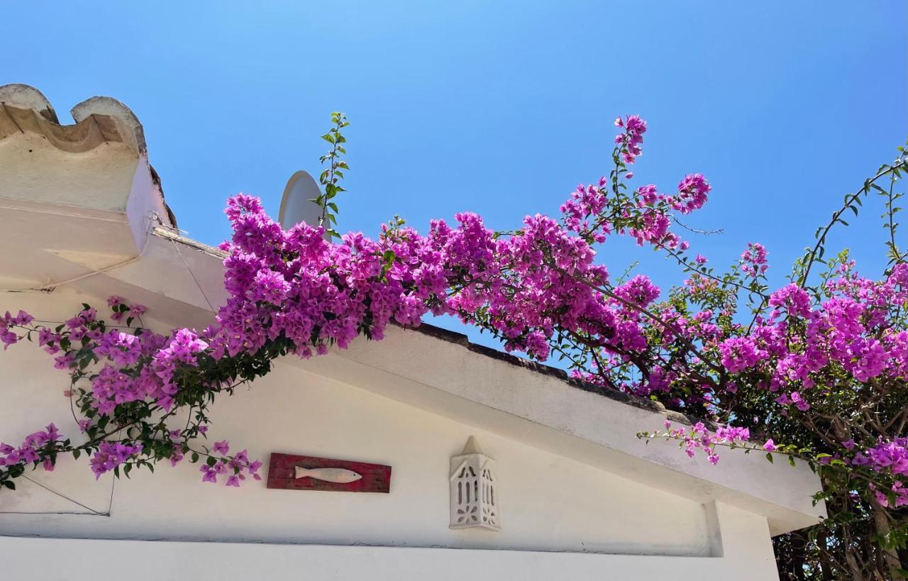 Charming Villa With Heated Pool Near Sandy Beach, Hiking, Golf And Wineries Luz エクステリア 写真